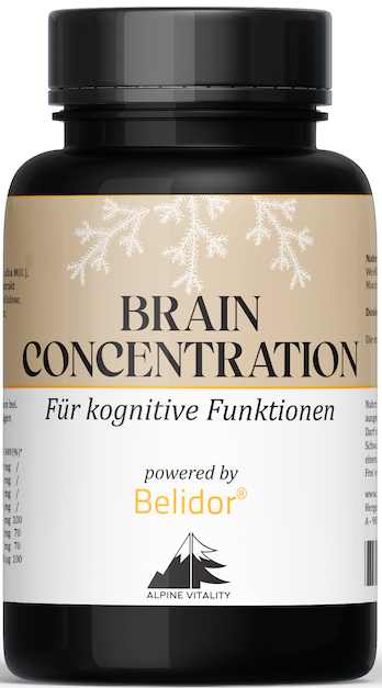 Belidor Brain Concentration