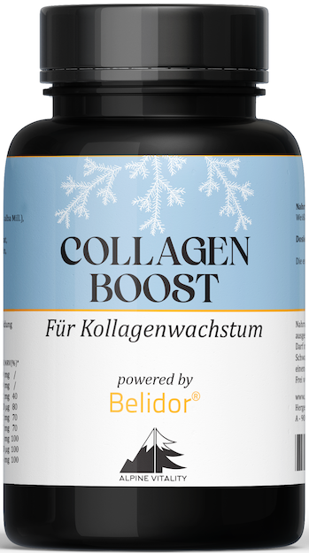 Belidor Collagen Boost