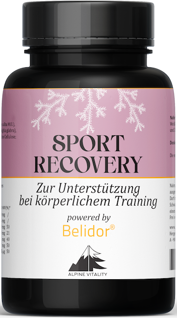 Belidor Sport Recovery