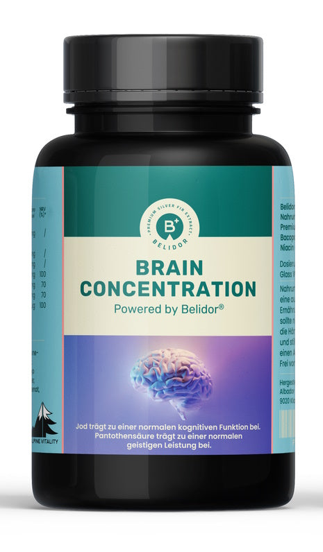 Belidor Brain Concentration